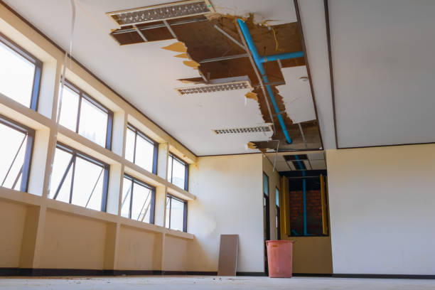 Best Mold removal after water damage  in East Washington, PA