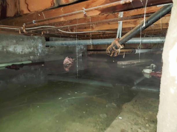 Best Water damage restoration near me  in East Washington, PA