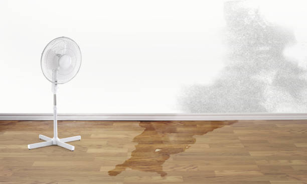 Best Water damage contractors near me  in East Washington, PA
