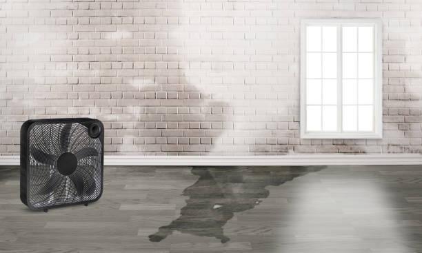 Best Emergency water damage restoration  in East Washington, PA