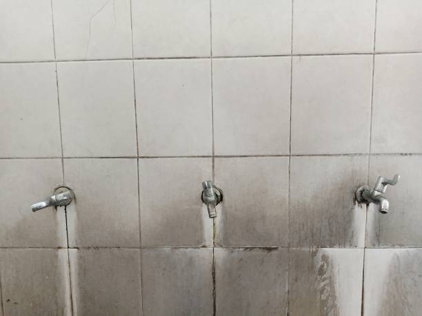 Best Water damage contractors near me  in East Washington, PA