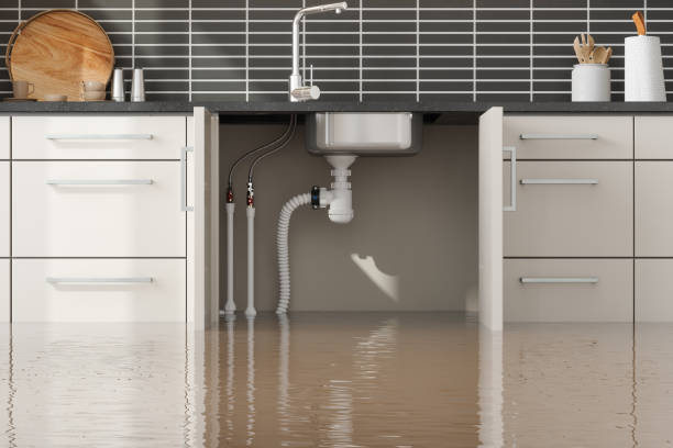 Best Mold removal after water damage  in East Washington, PA