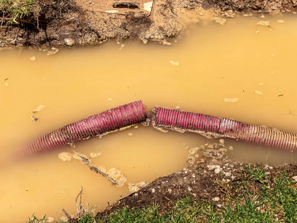 Best Local water damage restoration  in East Washington, PA