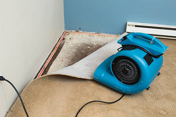 Best Fire Damage Restoration  in East Washington, PA
